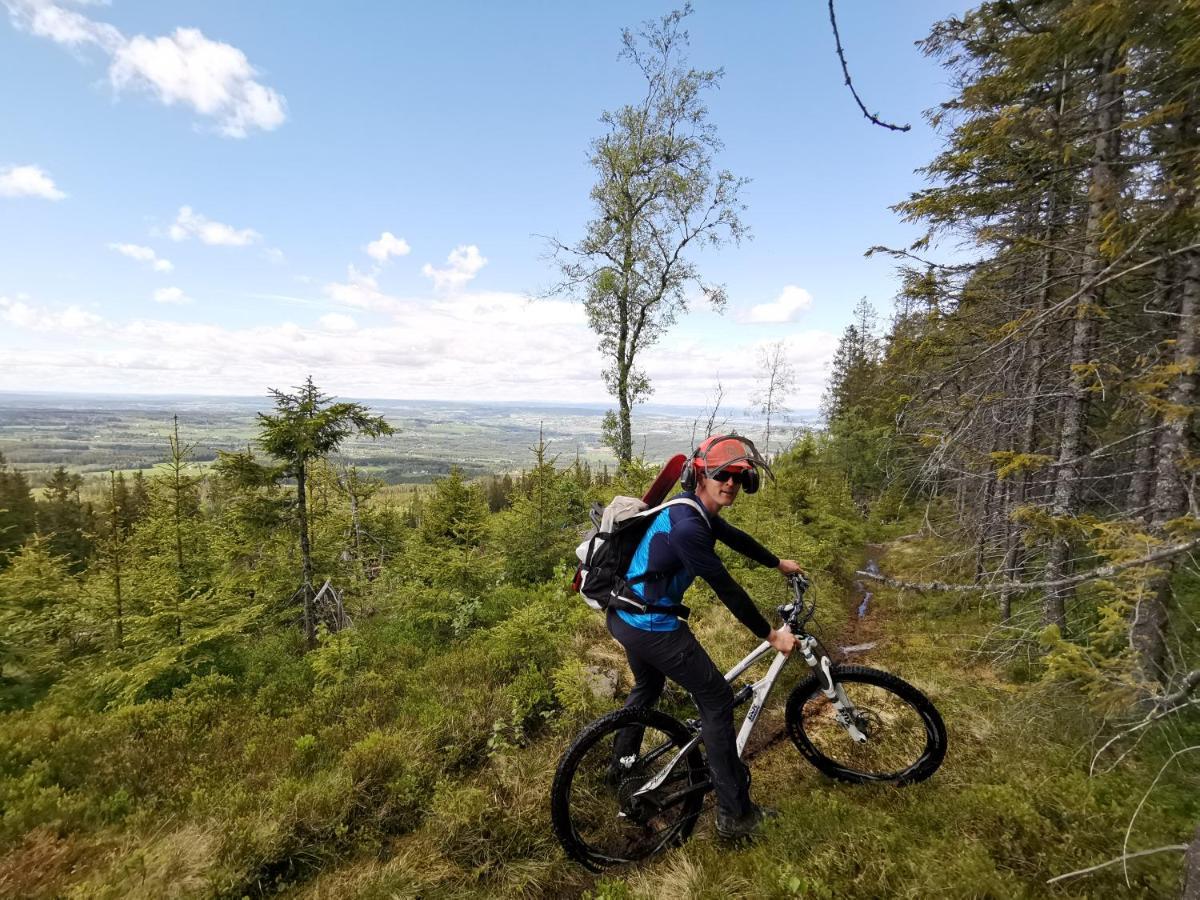 Idylliske Evjua Ved Mjosa Hotel Skreia Bagian luar foto