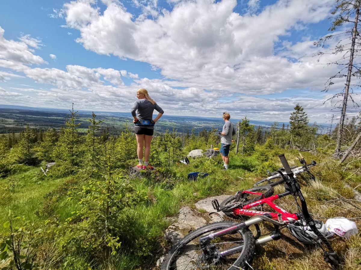 Idylliske Evjua Ved Mjosa Hotel Skreia Bagian luar foto