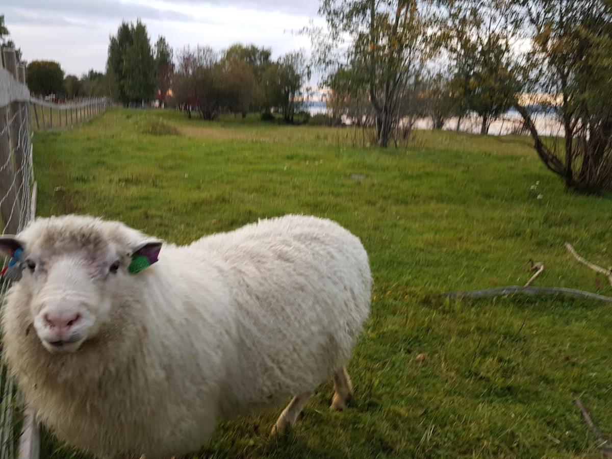 Idylliske Evjua Ved Mjosa Hotel Skreia Bagian luar foto