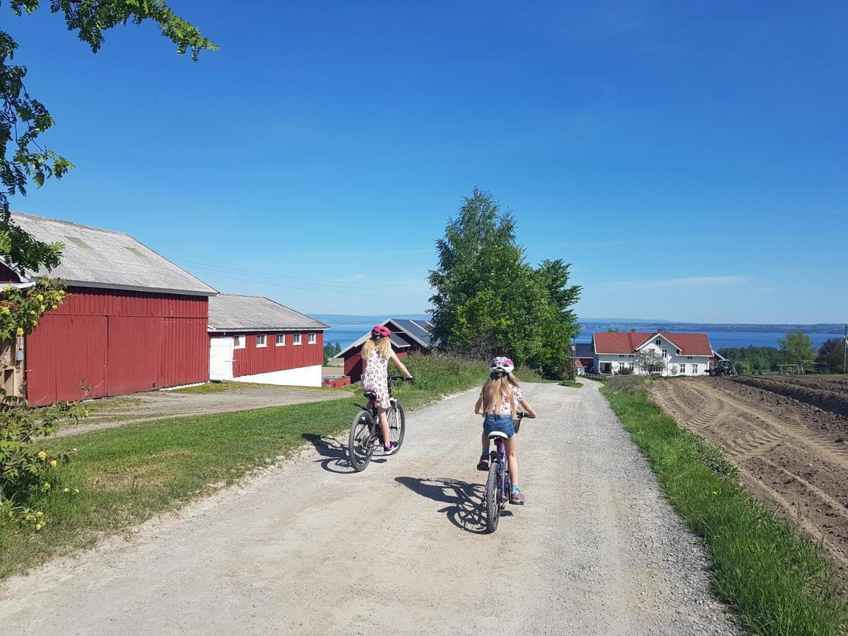 Idylliske Evjua Ved Mjosa Hotel Skreia Bagian luar foto