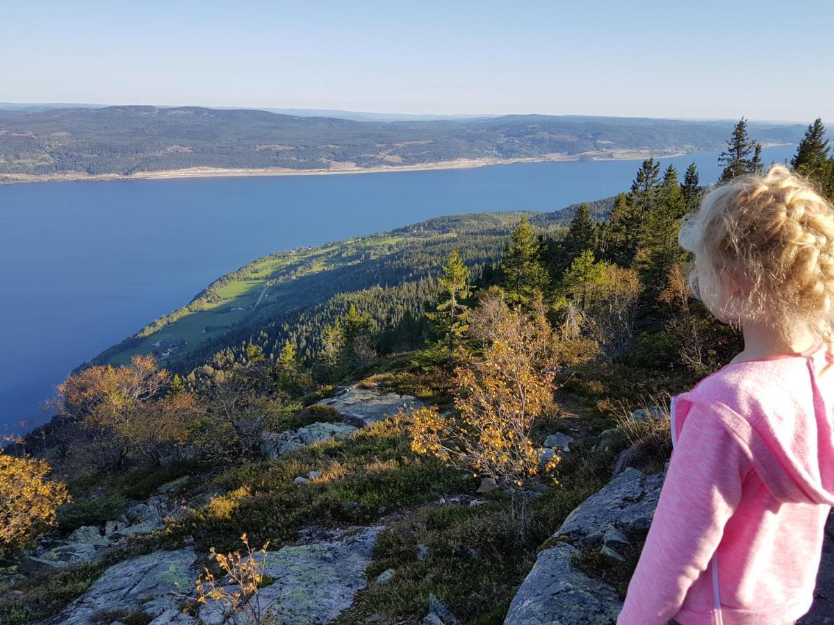 Idylliske Evjua Ved Mjosa Hotel Skreia Bagian luar foto