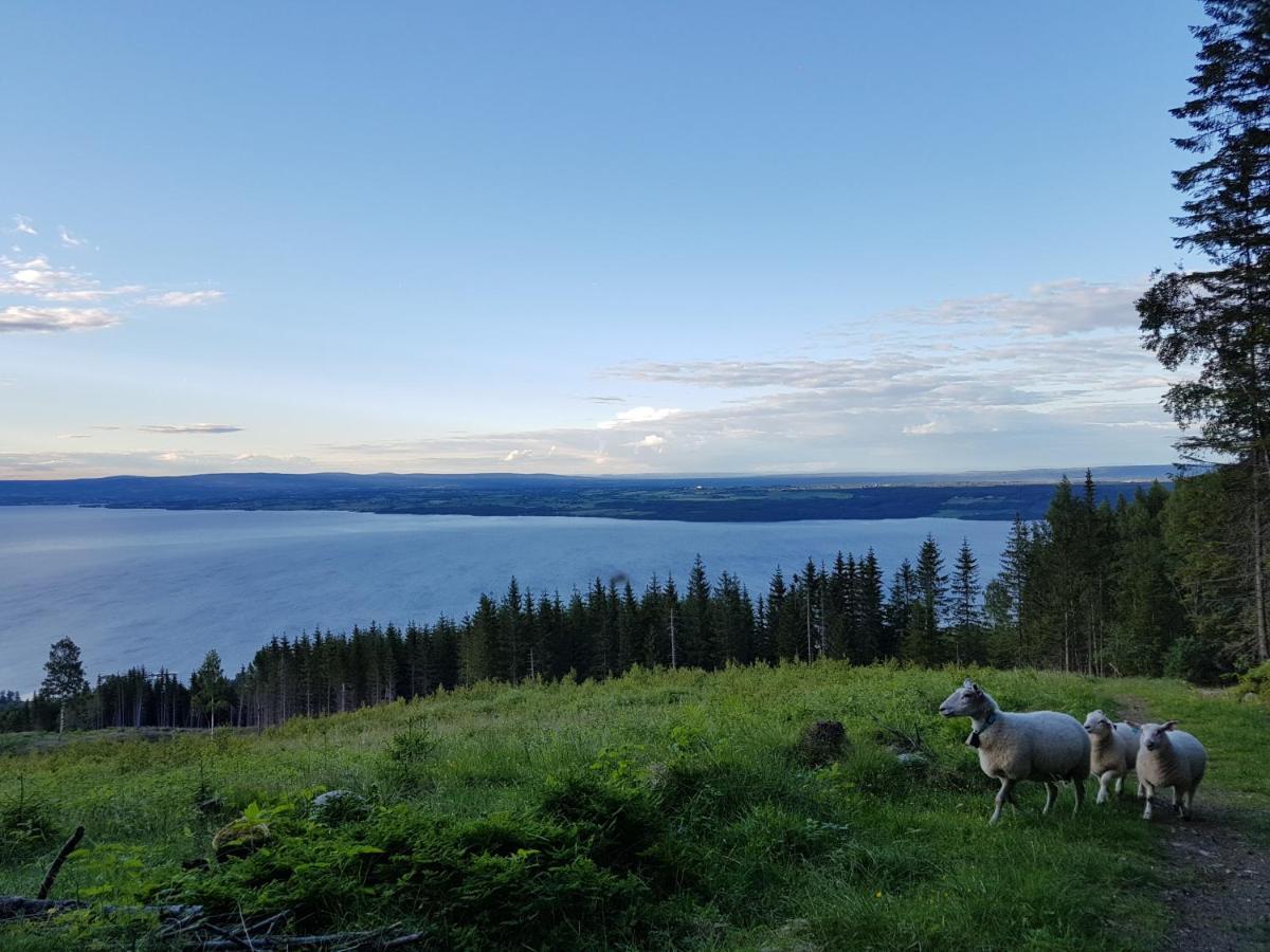 Idylliske Evjua Ved Mjosa Hotel Skreia Bagian luar foto
